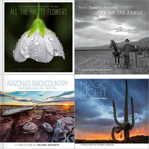 Set of Four Photography Gift Books