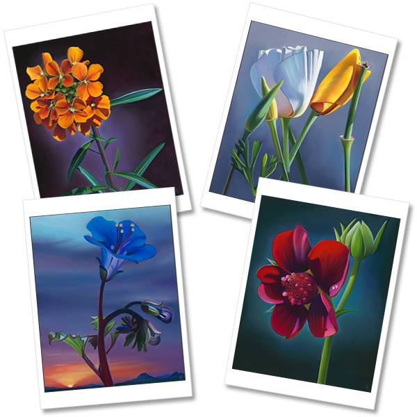 Dyana Hesson Notecards: Arizona Wildflowers