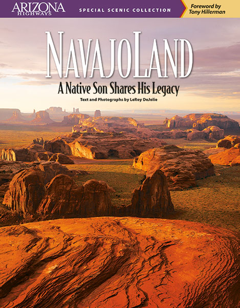 Navajoland: A Native Son Shares His Legacy